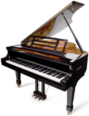 Feurich 162 Dynamic 1 Grand Piano